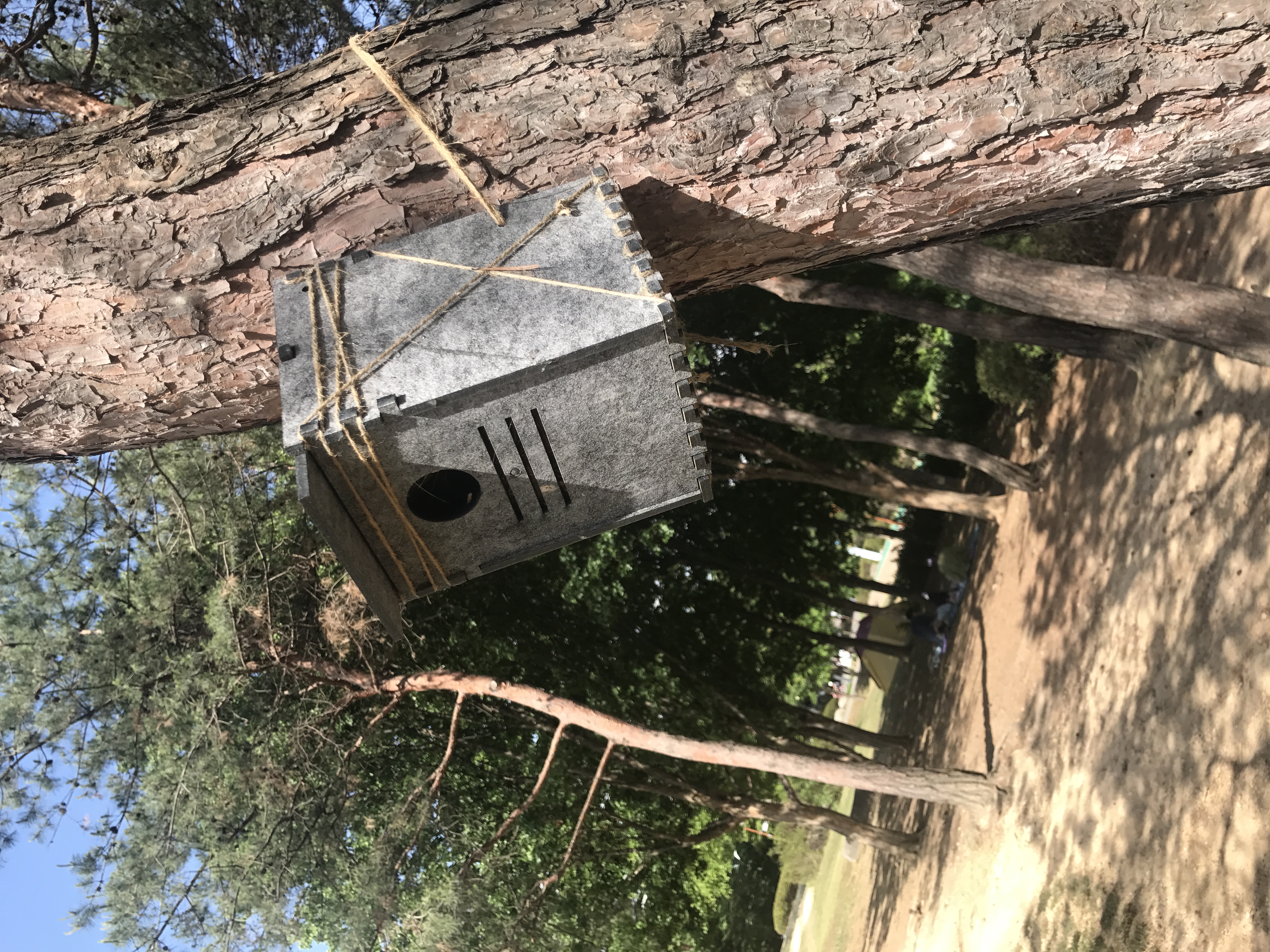 (2017) 상암동 하늘공원 새집 제작